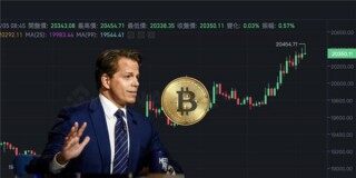 浙江卫视报道pi币(中央电视台报道PI币的骗局)